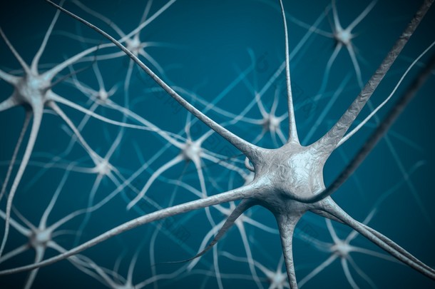 神经元在<strong>大脑</strong>中，神经网络的三维图.