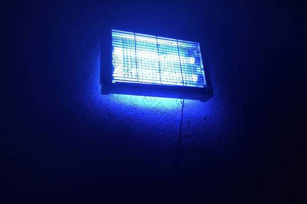 电子灭蚊灯在夜间发光