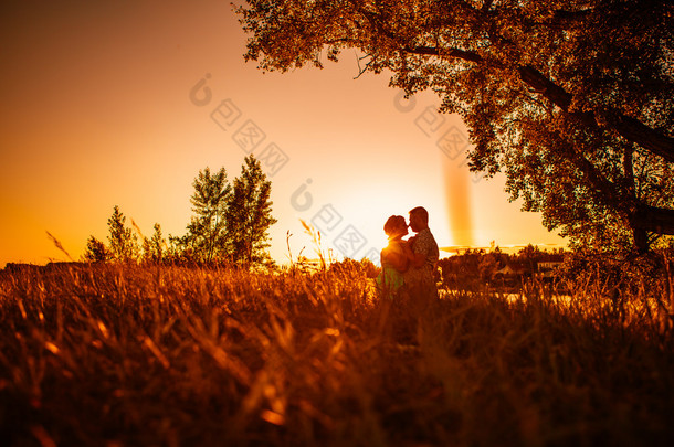 <strong>浪漫的</strong>情侣站和接吻背景夏天草地日落
