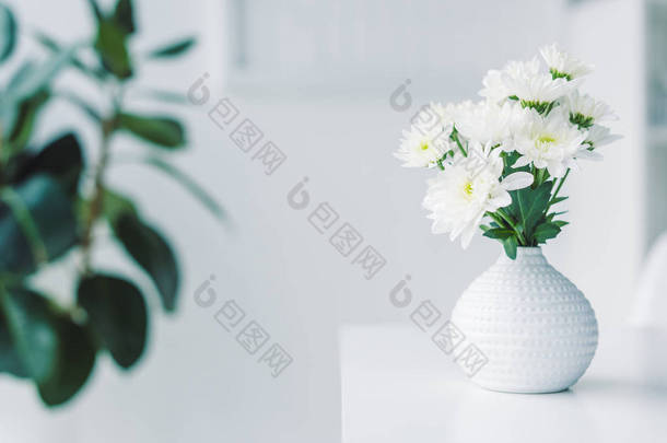 白色的花，插在花瓶里