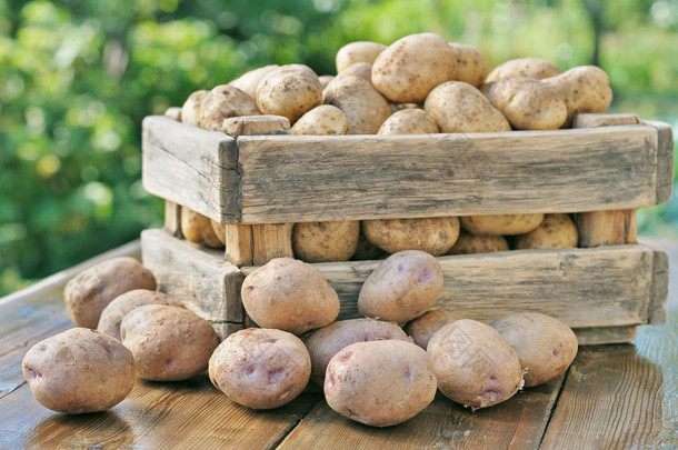 土豆在一个框.