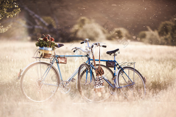 美丽的<strong>风景</strong>图像与自行车和花在日落时