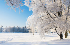 冬季公园在雪中