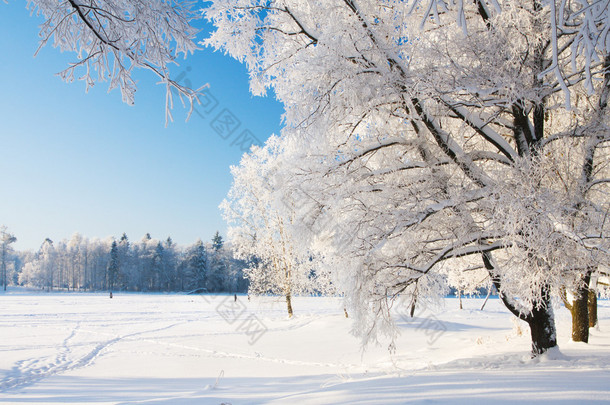 冬季公园在雪中