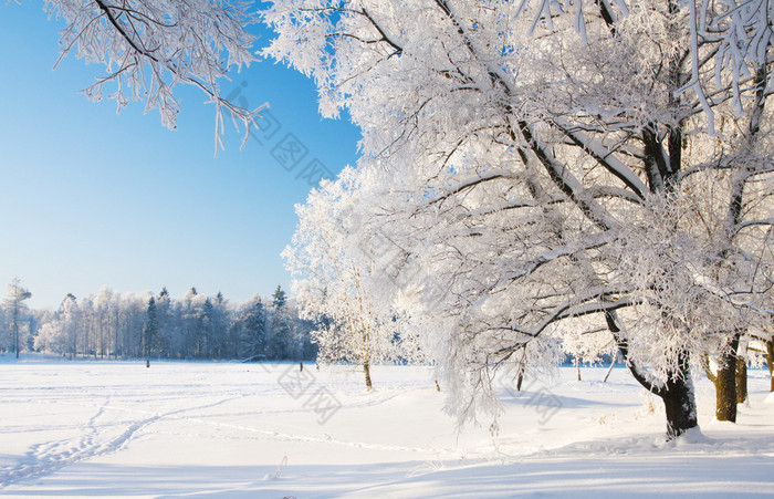 冬季公园在雪中