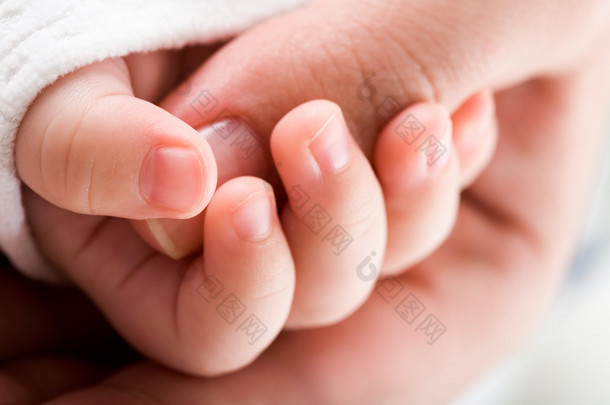 宝宝只手握住母亲的拇指