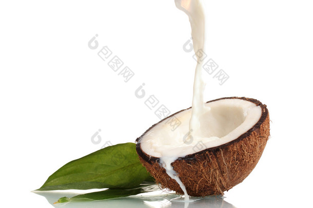 椰子椰子奶白色上孤立