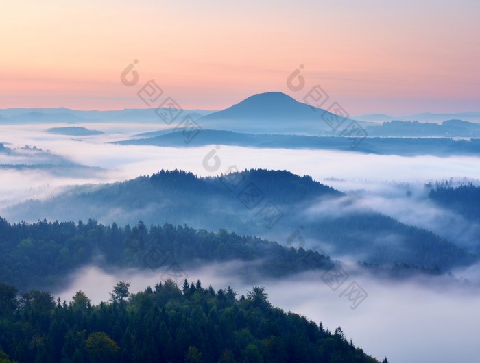 秋天的风景。轻柔的薄雾，壮丽秋天奶油雾以上森林。高小山从雾增加