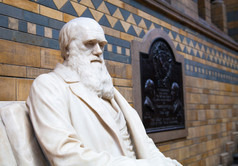 伦敦，英国-2014 年 8 月 11 日: 在国立历史博物馆，查尔斯 · 达尔文纪念碑是博物馆的为家庭在伦敦最喜欢之一.