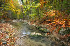 美丽的秋天风景山区河流与多彩树