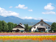 在日本，北海道富良野的富田农场的小房子.