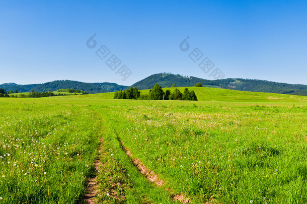 春天风景与路