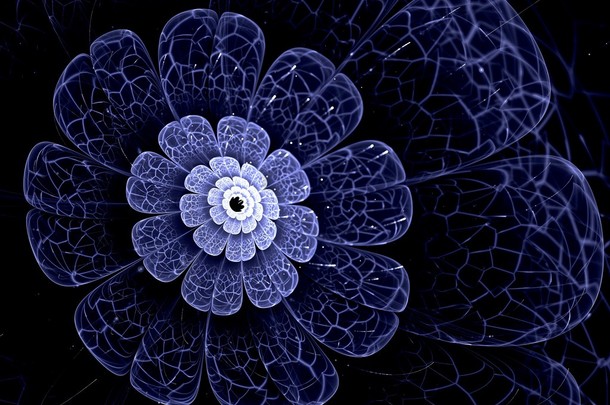 蓝色的分形花具花瓣，在黑色的蓝色详细信息