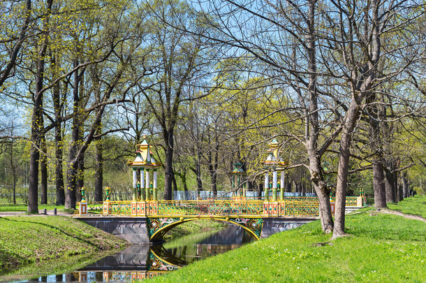 生动的绿色夏天公园查看在普希金，俄罗斯.
