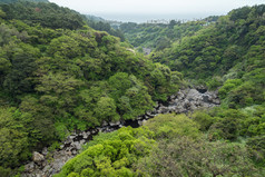 在济州岛 Cheonjeyeon 瀑布附近的 Cheonjeyeon 谷