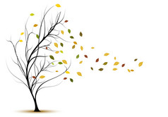 Decorative tree silhouette in autumn