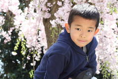 日本男孩和樱桃花开 （就读小学二年级)