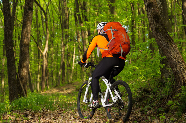 男子自行车在绿色森林