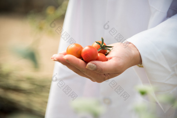 女人的手，手里拿着多颜色樱桃西红柿