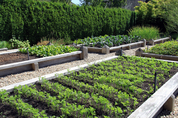蔬菜花园框