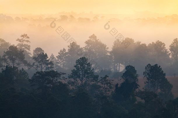 雾中森林在通萨朗銮国家公园碧差汶