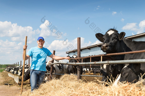 在奶牛的农场上工作的人农民