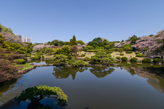 在东京新宿御苑国家花园