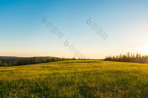 绿色的草地，在日落时的全景