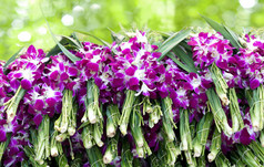 堆的紫色兰花花展出花卉市场