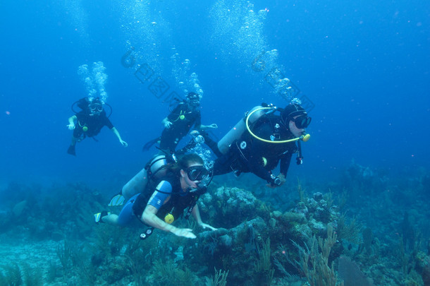 潜水员在加勒比海