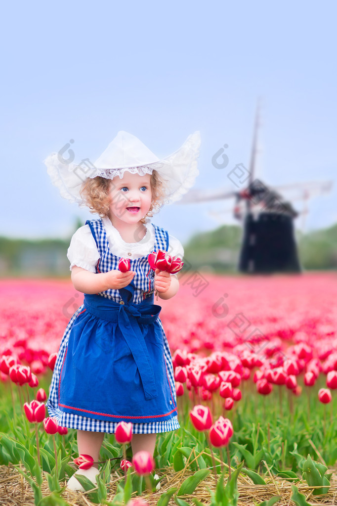 可爱卷发蹒跚学步女孩穿着荷兰传统的民族服装服饰和玩盛开的郁金香，一架风车旁边的字段中的帽子