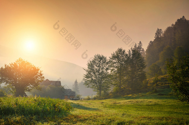 夏日风景与雾中的山村庄