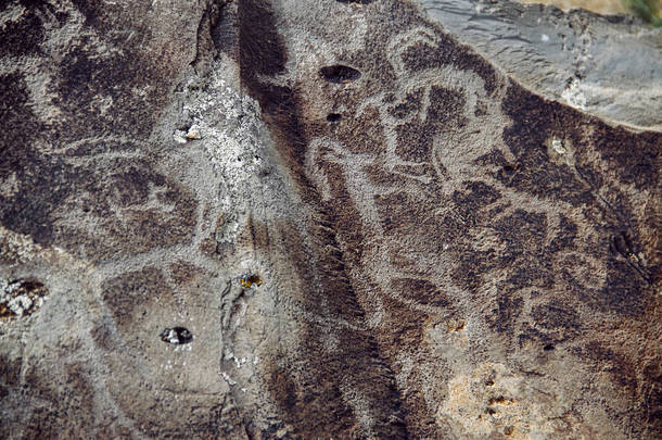 在石头上的阿尔泰古代石刻岩画