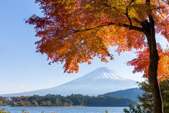 金秋时节的富士山