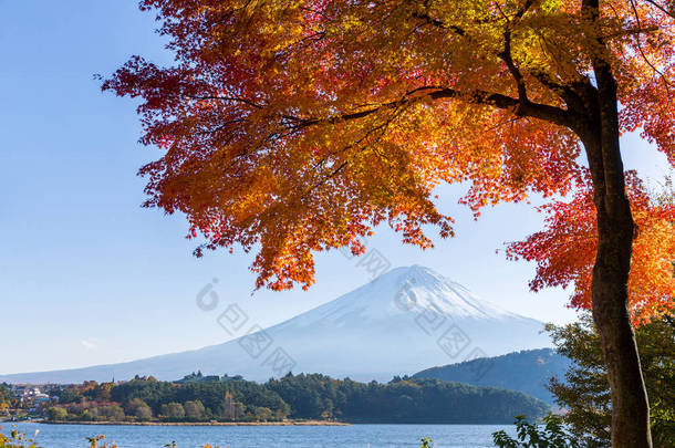 金秋时节的富士山