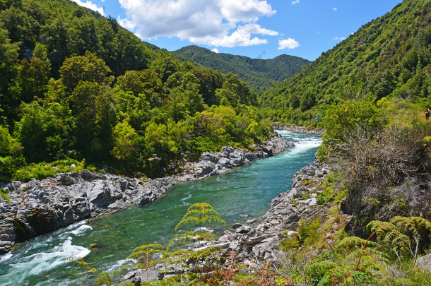 雄伟的布勒河进入西海岸布勒峡.