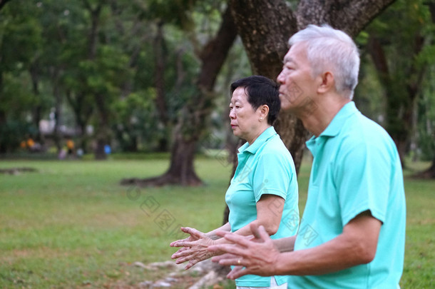 亚洲高级老年夫妇练习太极，气功锻炼 ou