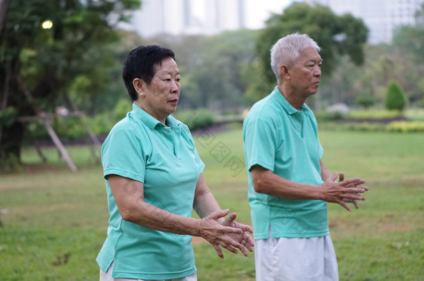 亚洲高级老年夫妇练习太极，气功锻炼 ou