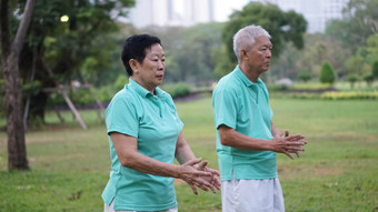 亚洲高级老年夫妇练习太极，气功锻炼 ou图片