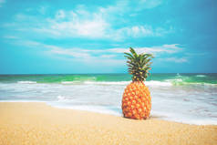 成熟的菠萝热带沙滩上
