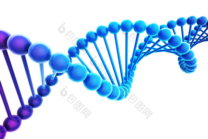 白色背景上的蓝色 Dna 螺旋。