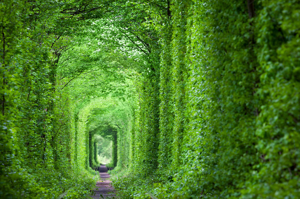 奇妙的真正隧道<strong>爱情</strong>、 绿<strong>树</strong>和铁路