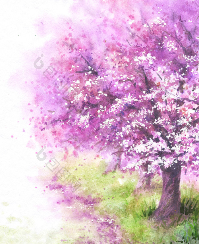 开花的樱花树图片-包图网企业站