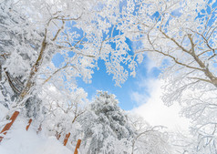 在韩国山冬季景观白色雪.