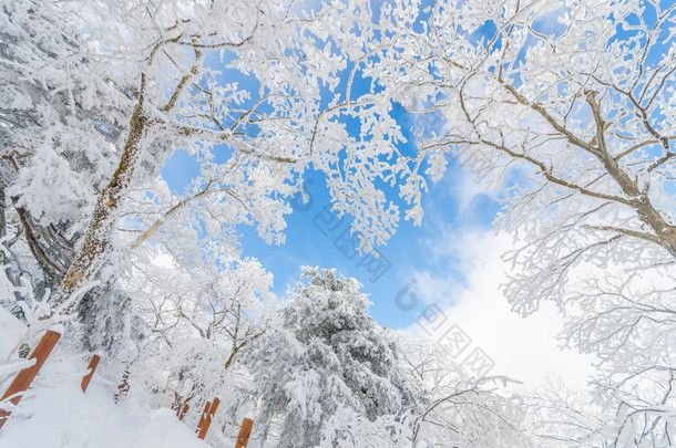 在韩国山冬季景观白色雪.