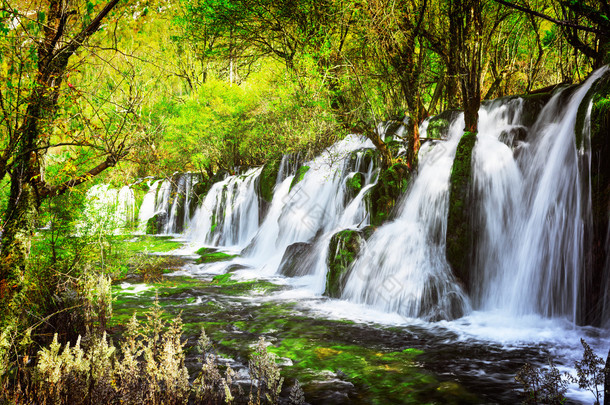 清澈的水，绿色的森林间的<strong>瀑布</strong>景区
