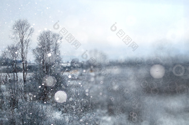 在冬季森林降雪