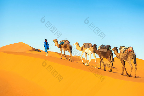 在撒哈拉沙漠上的<strong>骆驼</strong>商队