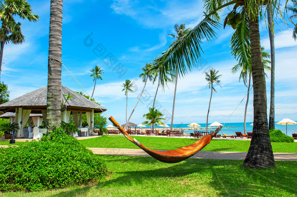 沙滩上棕榈树间的空吊床