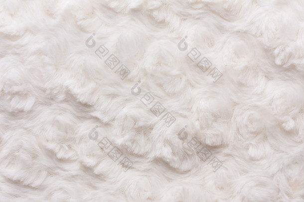 棉花羊毛